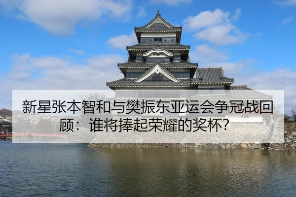 新星张本智和与樊振东亚运会争冠战回顾：谁将捧起荣耀的奖杯？
