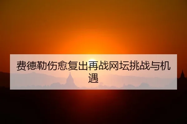 费德勒伤愈复出再战网坛挑战与机遇